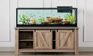 Keunggulan Lemari Aquarium dari Kayu serta Cara Merawatnya