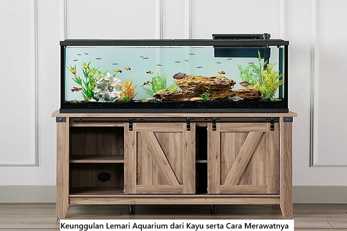 Keunggulan Lemari Aquarium dari Kayu serta Cara Merawatnya